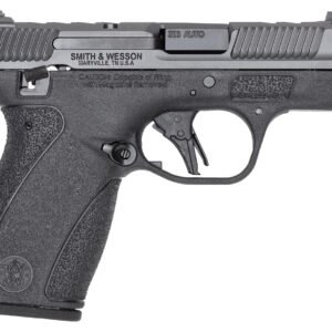 S&W BODYGRD 2.0 PC 14418 380 3.1     2X10R GRY/BLK