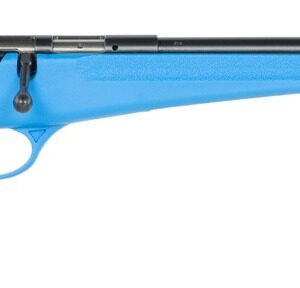 Savage Arms  Rascal F-SR 22 LR 1rd 16.13" Matte Black Single Shot Threaded Barrel, Blue Synthetic Stock, Right Hand