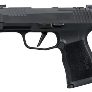 Sig Sauer 365XL380COMP10 P365XL 380 ACP 10+1 3.10" Black Ported Barrel, Black Nitron Stainless Steel Optic Cut/Ported/Serrated Slide, Black Stainless Steel Frame w/Picatinny Rail, Textured Grip, SIG-L