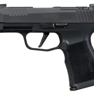 Sig Sauer 365XL380COMPMS P365XL  380 ACP 12+1 3.10" Black Ported Barrel, Black Nitron Stainless Steel Optic Cut/Ported/Serrated Slide, Black Stainless Steel Frame w/Picatinny Rail, Textured Grip, SIG-