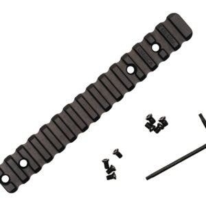 AREA 419 419-ISR-R700SA20-FS REM 700SA 1913 20MOA