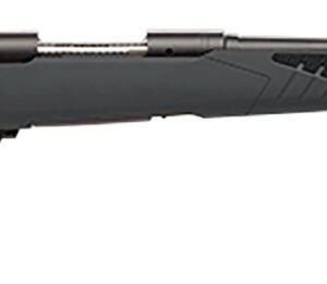 Savage Arms 57061 110 Hunter Full Size 223 Rem 4+1 22" Matte Black Button-Rifled Barrel, Matte Black Drilled & Tapped Carbon Steel Receiver, Adj AccuStock Matte Gray Synthetic Stock, Right Hand