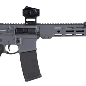 SHARK COAST TACTICAL AR15 GREY NIGHT BUNDLE-CA COMPLIANT 556 16IN BARREL 10RD    SCTARGCC