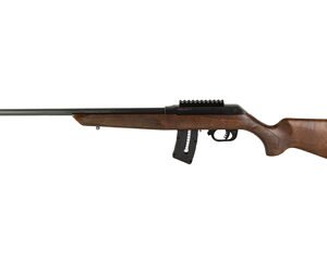 ROSSI RS22 22WMR 21" 10RD WOOD