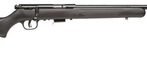 SAV 93F 22WMR