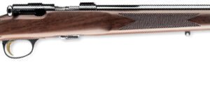 BRN T-BOLT TGT/VRM RFL 17HMR B