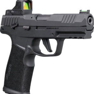 SIG P322 NIT RS 22LR 20R 4B FO